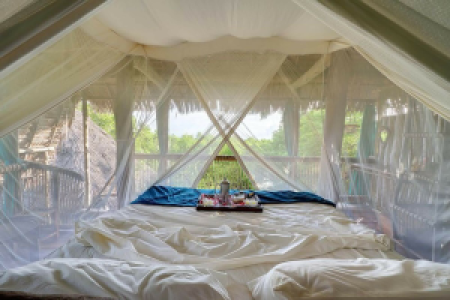 Chole Mjini Treehouse Lodge