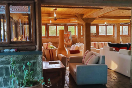 Da Vinci Gorilla Lodge
