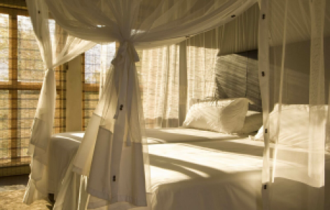 Divava Okavango Resort