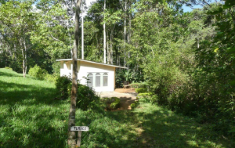 Emau Hill Forest Camp
