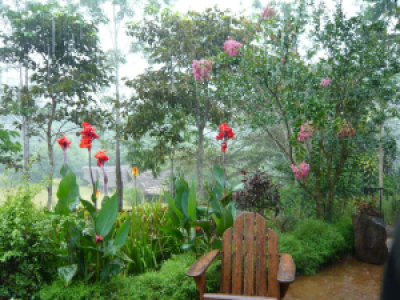 Emau Hill Forest Camp