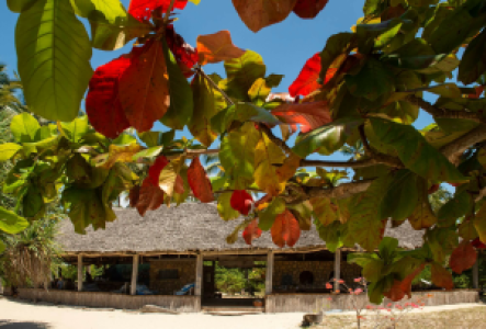 Emayani Beach Lodge
