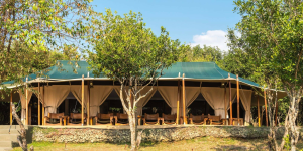 Entim Camp