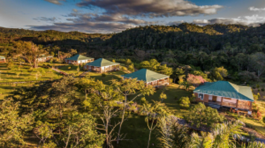 Eulophiella Hotel