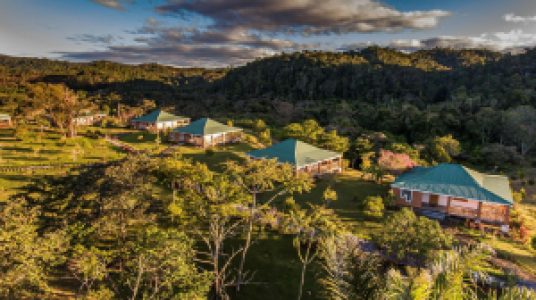 Eulophiella Hotel