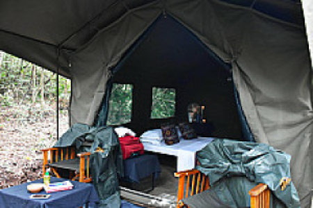 Explorer by Mahoora Sinharaja