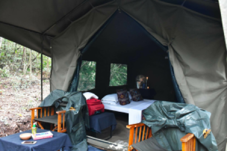 Explorer by Mahoora Sinharaja