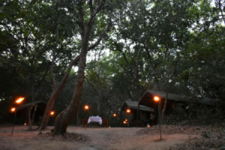 Explorer Kumana Camp