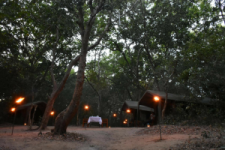 Explorer Kumana Camp