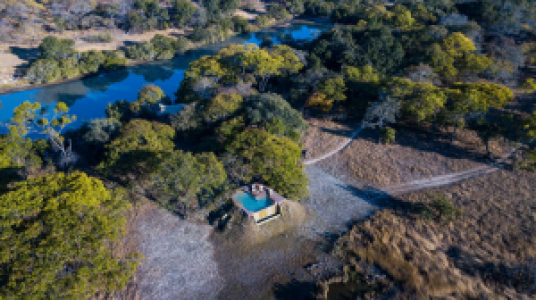 Fig Tree Bush Camp
