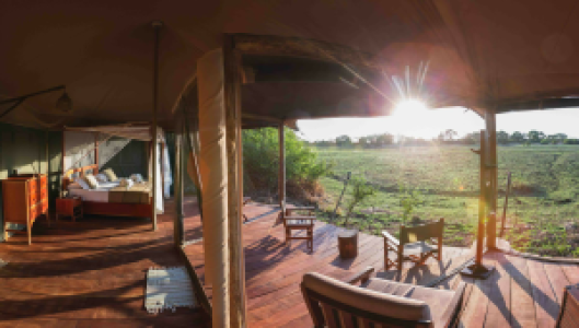 Fig Tree Bush Camp