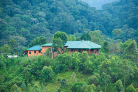 Gorilla Valley Lodge