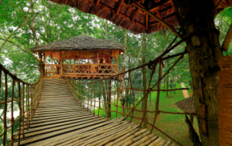 Greenwoods Resort