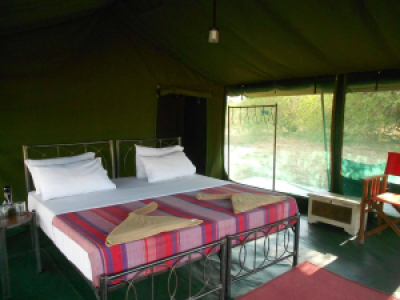 Halisi Natron Camp