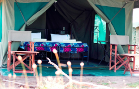 Halisi Ndutu Camp