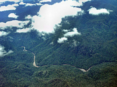 Heart of Borneo