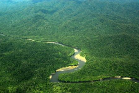 Heart of Borneo
