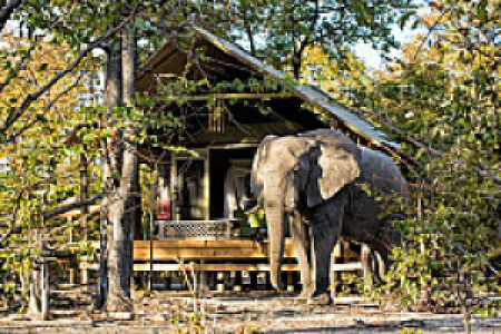 Hyena Pan Camp