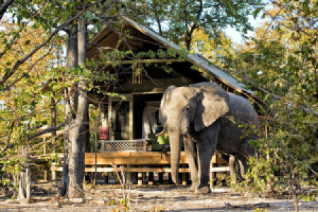 Hyena Pan Camp