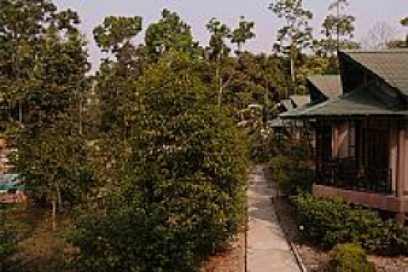 Infinity Resort