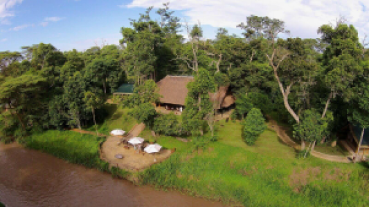 Ishasha Wilderness Camp