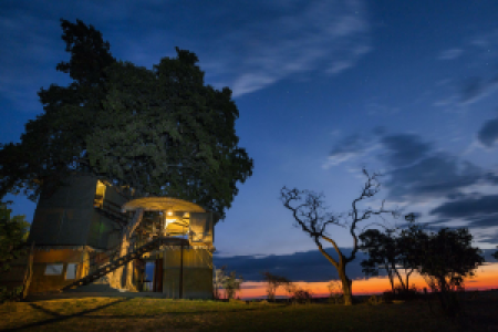Jackalberry Tented Camp