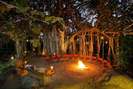 Jamtara Wilderness Camp