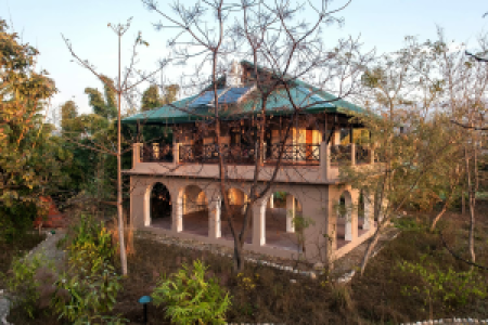 Jim’s Jungle Retreat