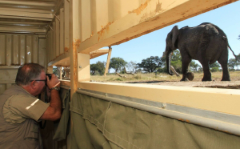 Jozibanini Camp