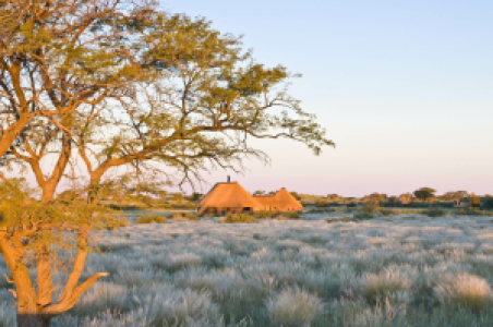 Kalahari Red Dunes