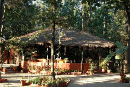 Kanha Jungle Lodge
