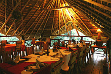 Kibale Forest Camp