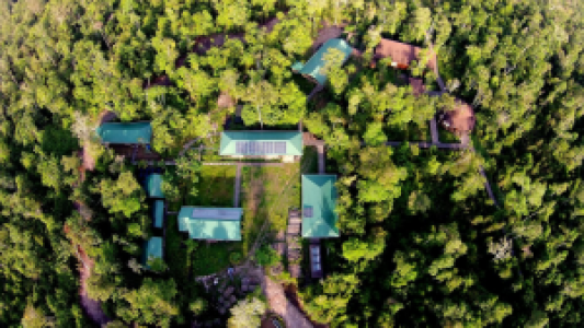 Kinabatangan Wetlands Resort
