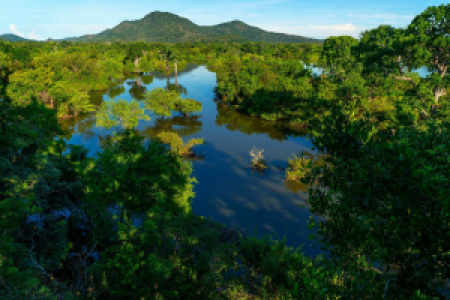 Kulu Safaris Yala