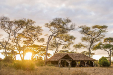Kuro Tarangire Camp