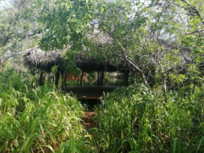 Kuwera Eco Lodge