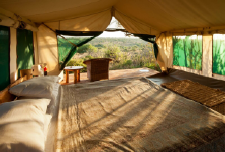 Laikipia Wilderness Camp