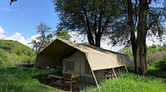 Lion King Bush Camp