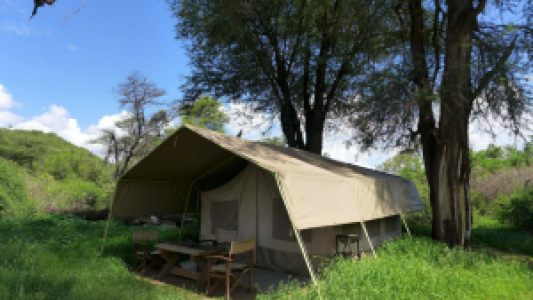 Lion King Bush Camp