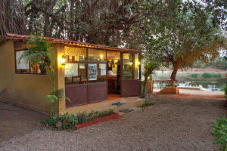 Lion Safari Camp