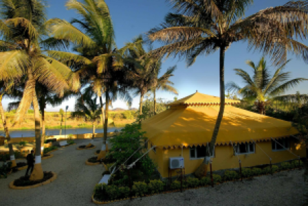 Lion Safari Camp