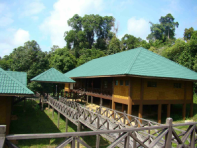 Maliau Basin Camps