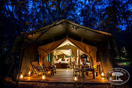 Mara Bush Camp