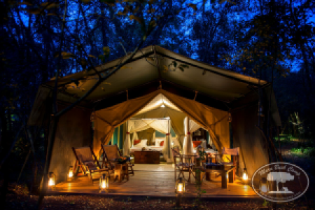 Mara Bush Camp