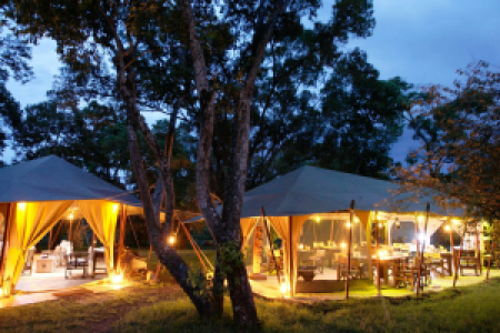 Mara Bush Camp