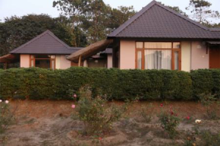 Musa Jungle Retreat