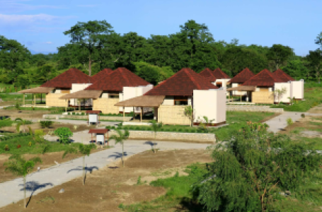 Musa Jungle Retreat