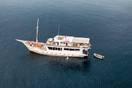 M.Y. Oceanic