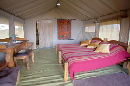 Mysigio Camp