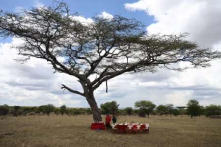 Nyabogati Camp